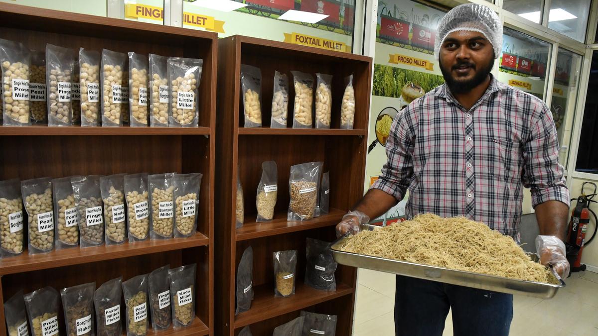 Watch Making ice cream and beer from millets The Hindu